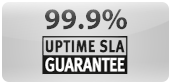 99.99% uptime guarantee