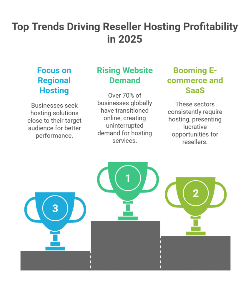 visual selection 18 Image showing key factors that determine if reseller hosting is profitable
