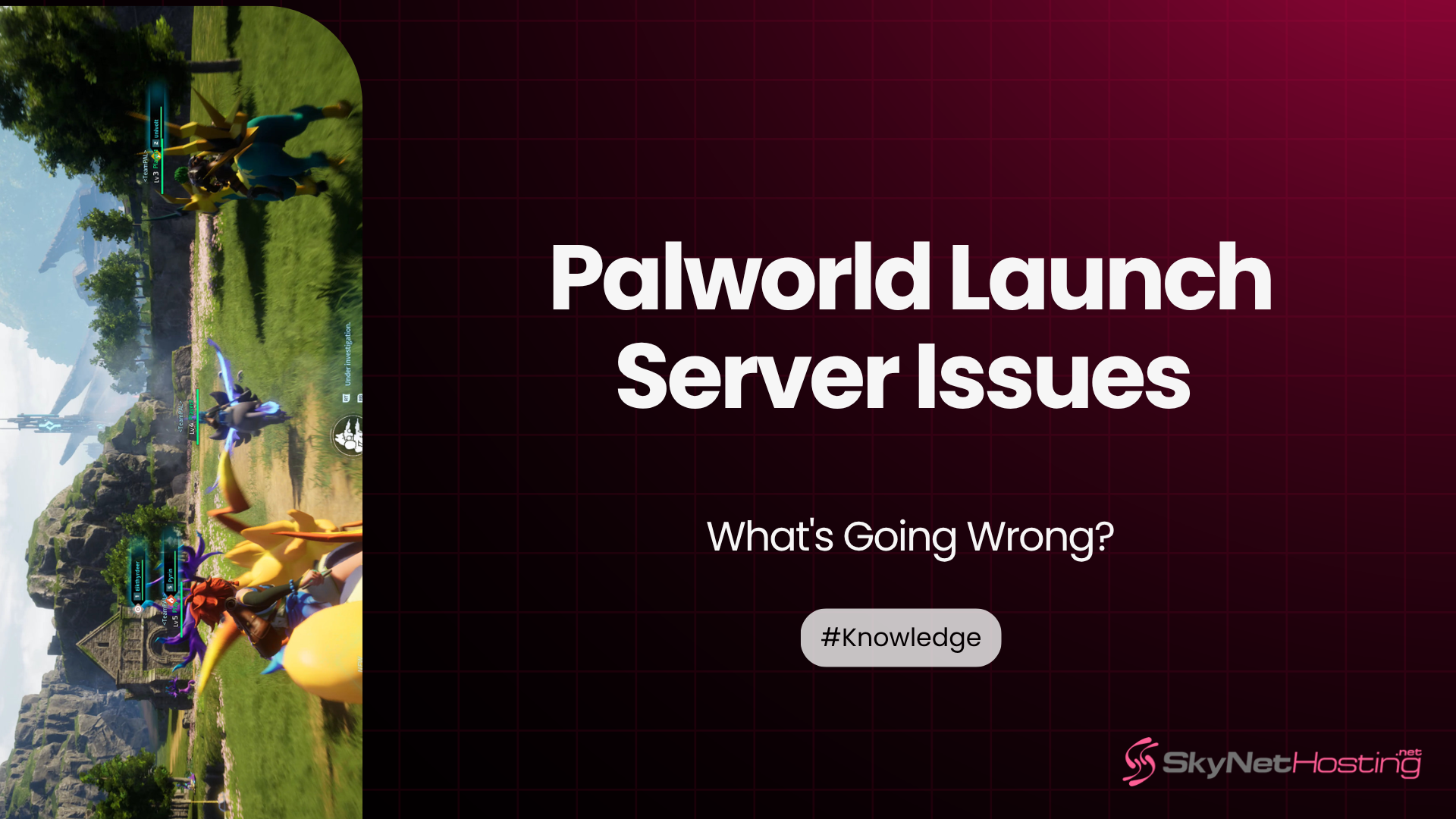 Black and Green Gradient Minimalist Professional Business Presentation 12 Palworld Launch Server Issues: What’s Going Wrong?