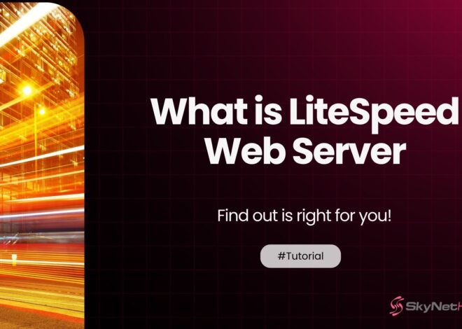 Everything You Need to Know About LiteSpeed Web Server