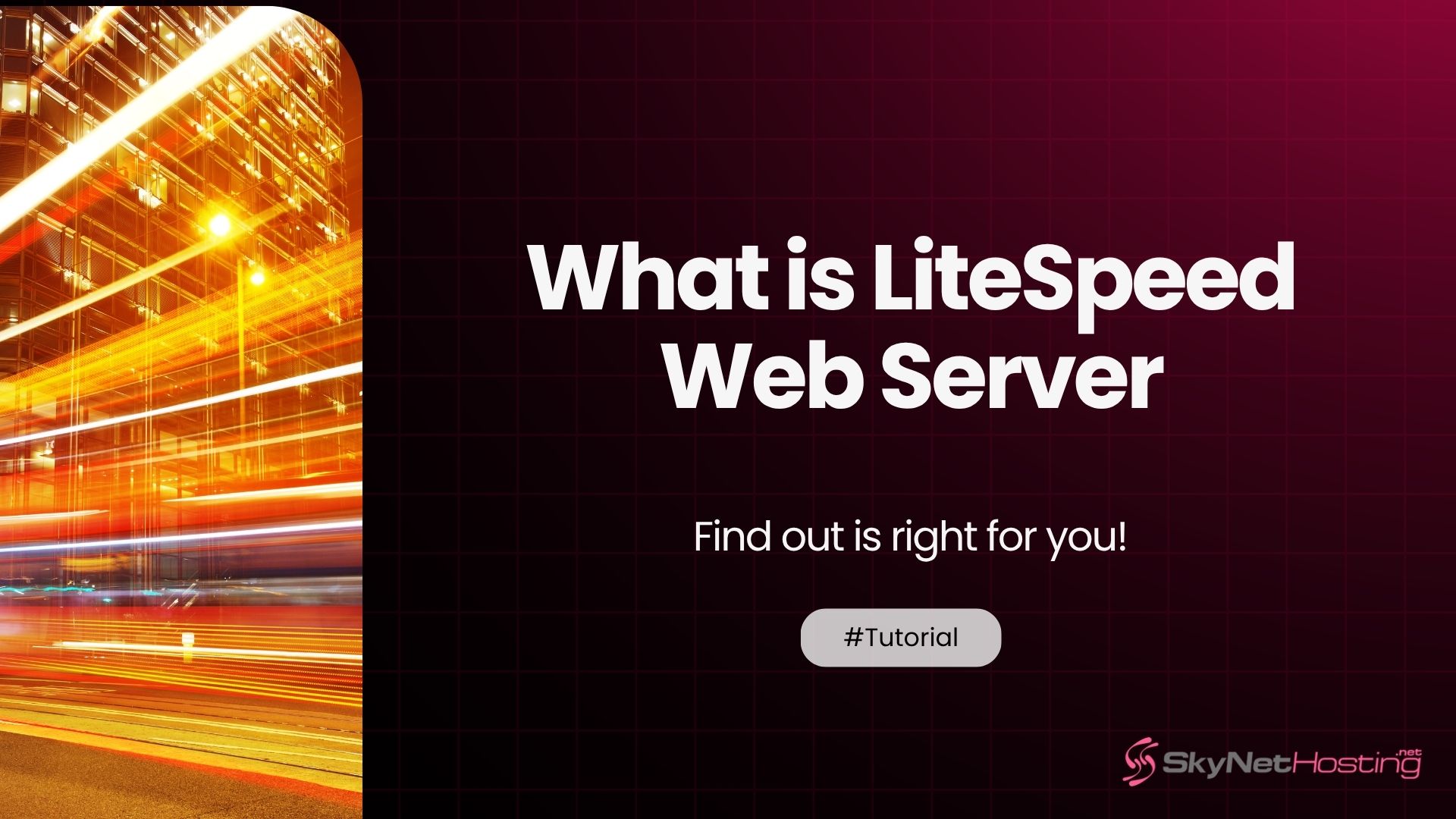 Everything You Need to Know About LiteSpeed Web Server