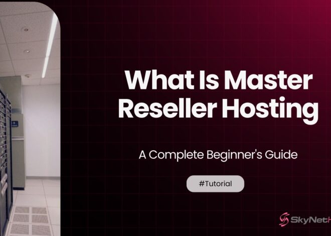 What Is Master Reseller Hosting? A Complete Beginner’s Guide
