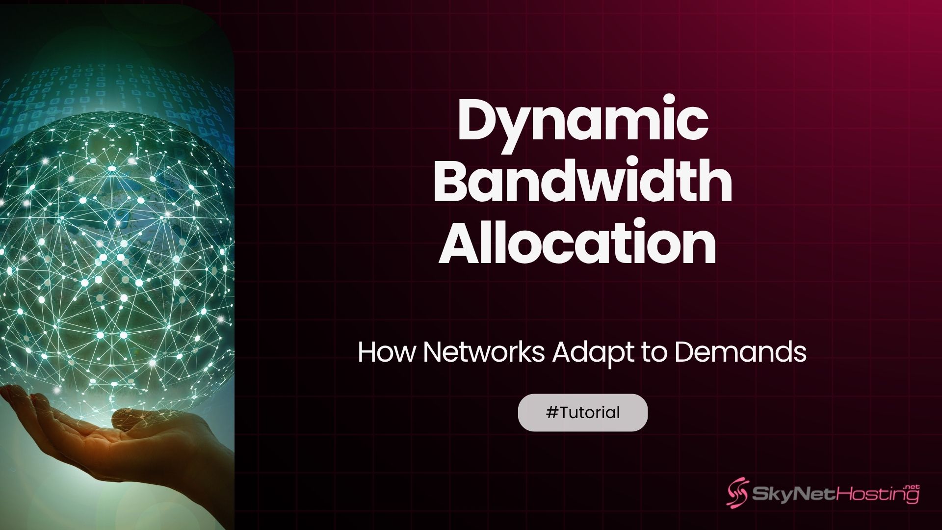 Dynamic Bandwidth Allocation – How Networks Adapt to Demands