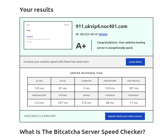 Bitcatcha Server speed 1