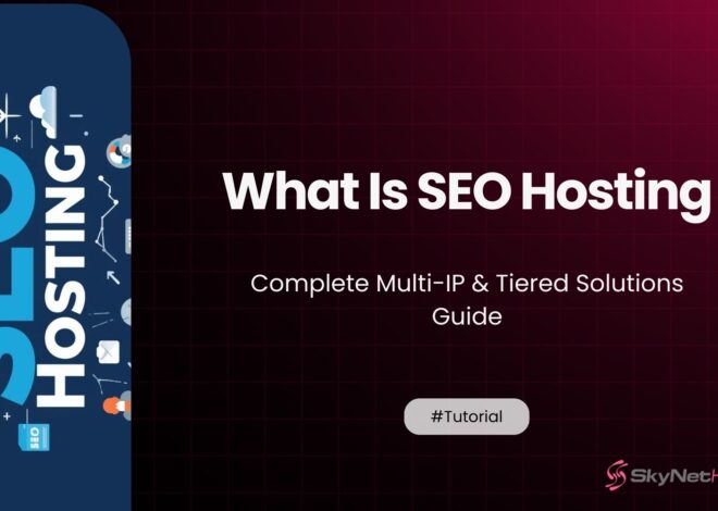 What Is SEO Hosting? Complete Multi-IP & Tiered Solutions Guide