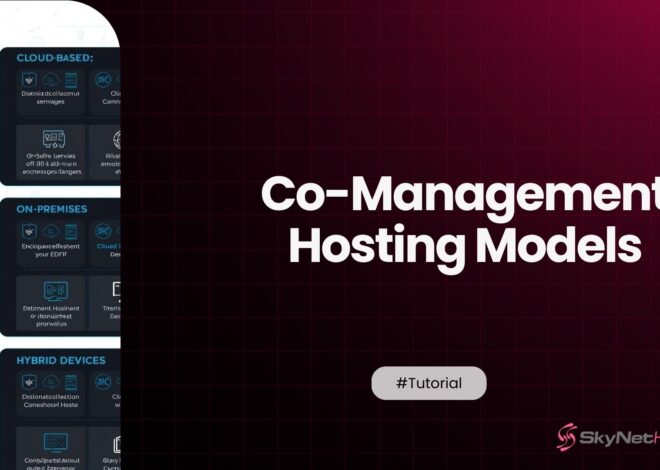 A Guide to Co-Management Hosting Models for Growing Businesses