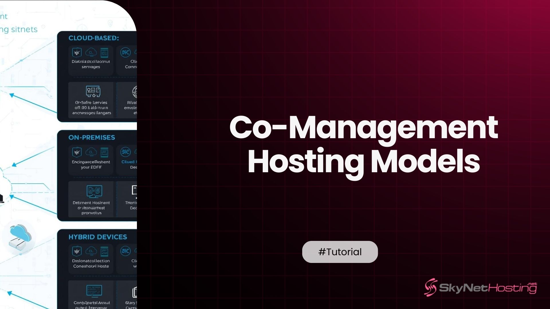 A Guide to Co-Management Hosting Models for Growing Businesses