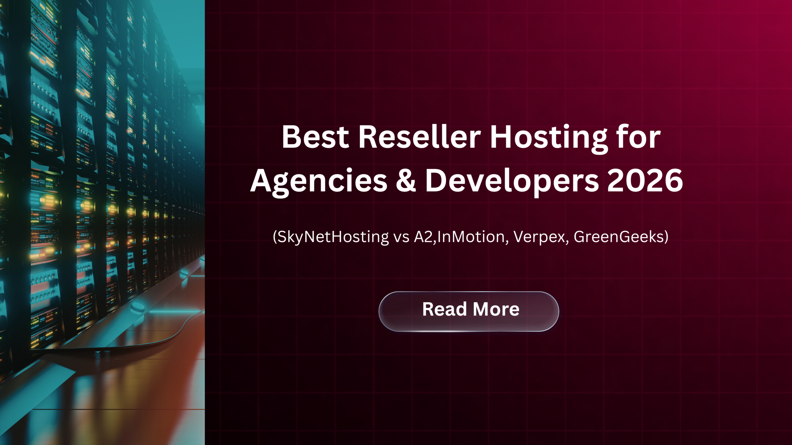 Best Reseller Hosting for Agencies & Developers 2026 (SkyNetHosting vs A2,InMotion, Verpex, GreenGeeks)