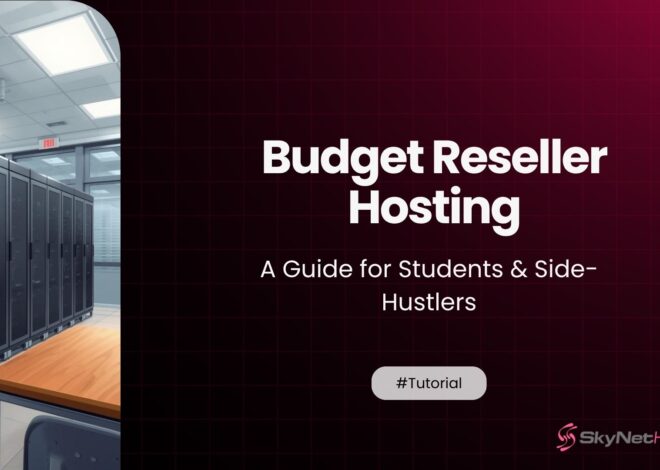 Budget Reseller Hosting: A Guide for Students & Side-Hustlers