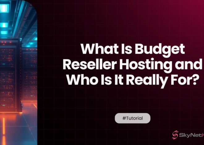 What Is Budget Reseller Hosting and Who Is It Really For?