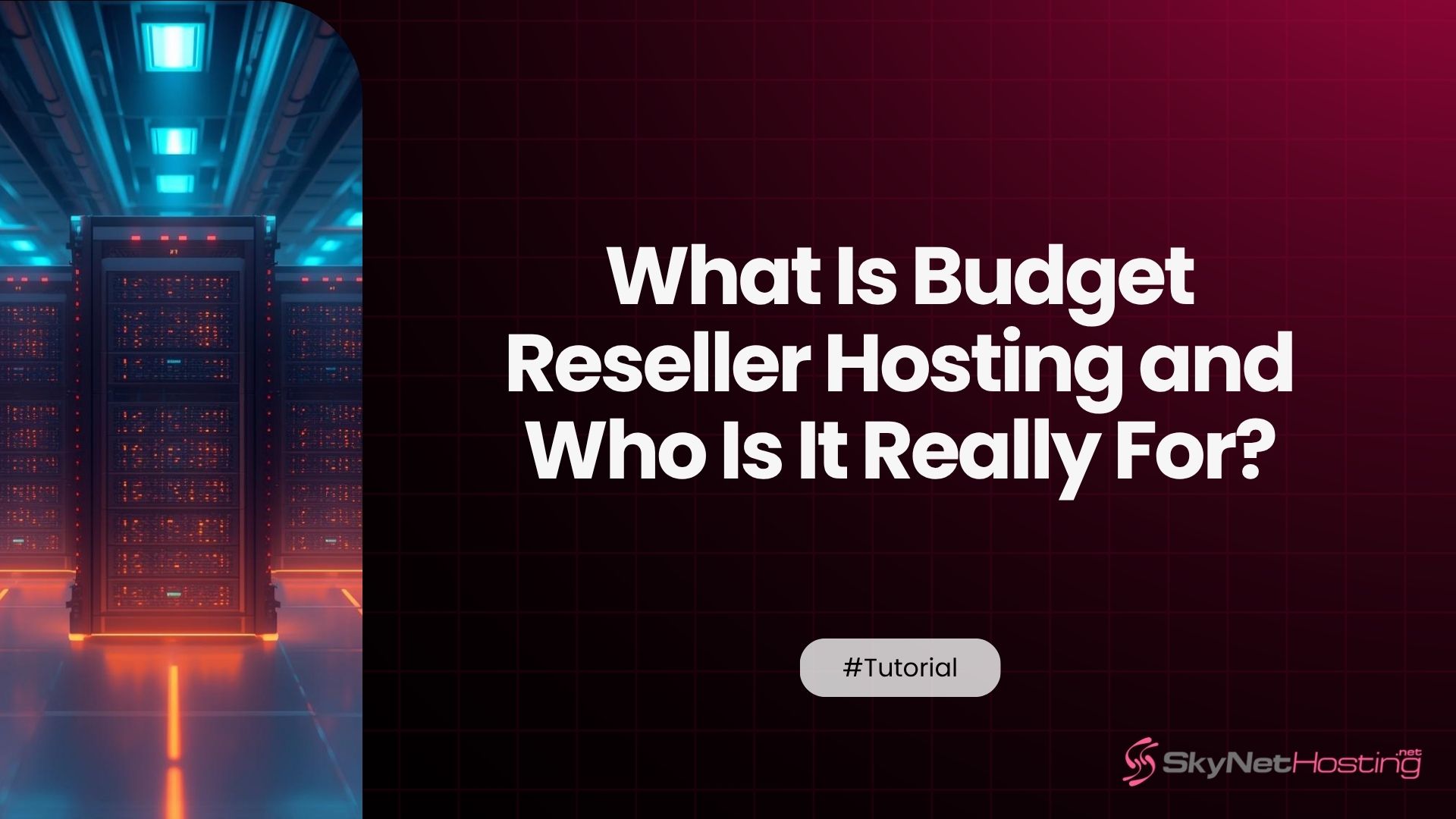 What Is Budget Reseller Hosting and Who Is It Really For?