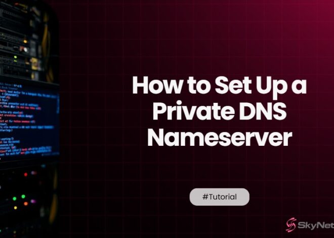 How to Set Up a Private DNS Nameserver to White-Label Your Reseller Hosting Business