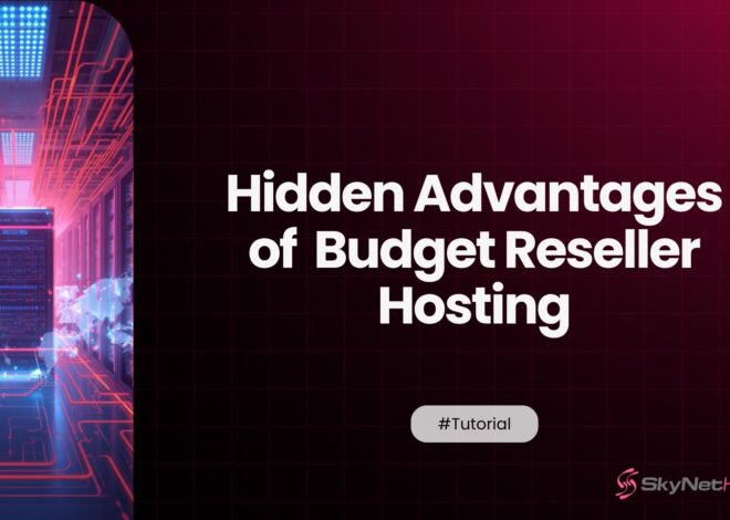 The Hidden Advantages of Starting Small With Budget Reseller Hosting