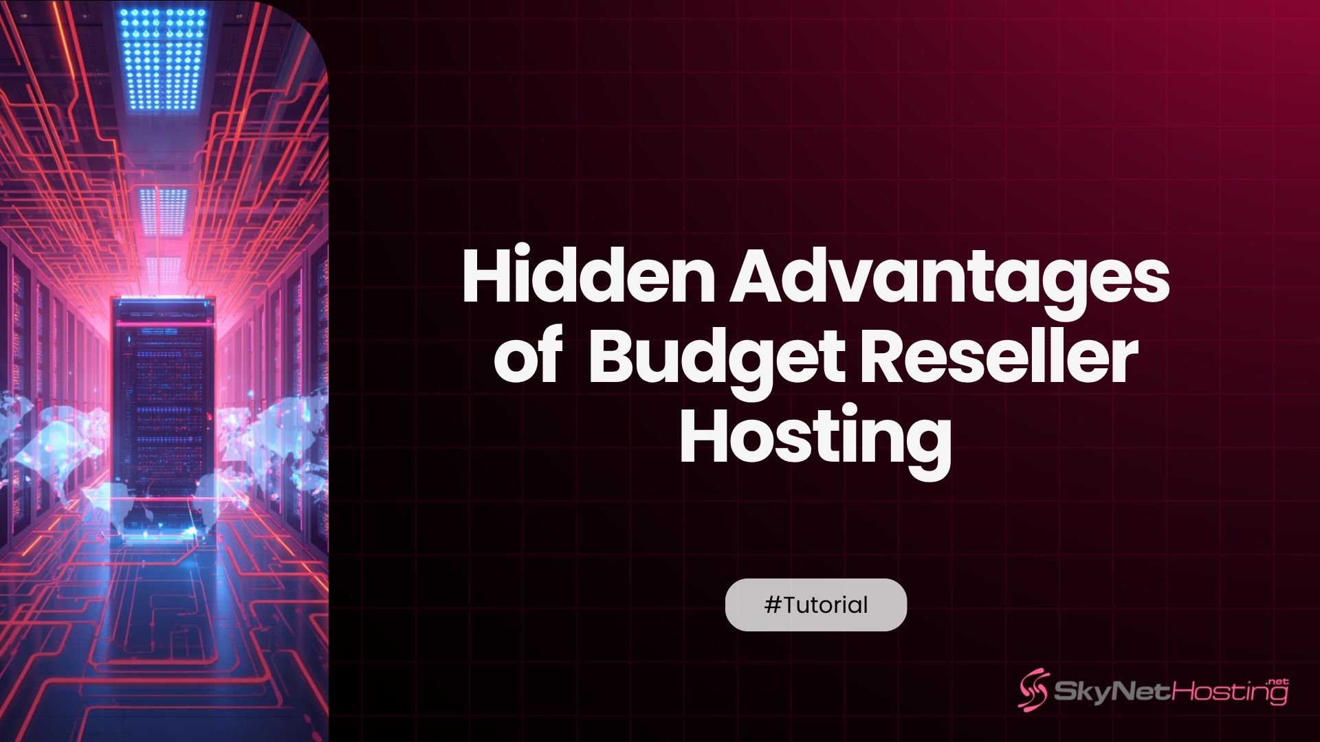 The Hidden Advantages of Starting Small With Budget Reseller Hosting