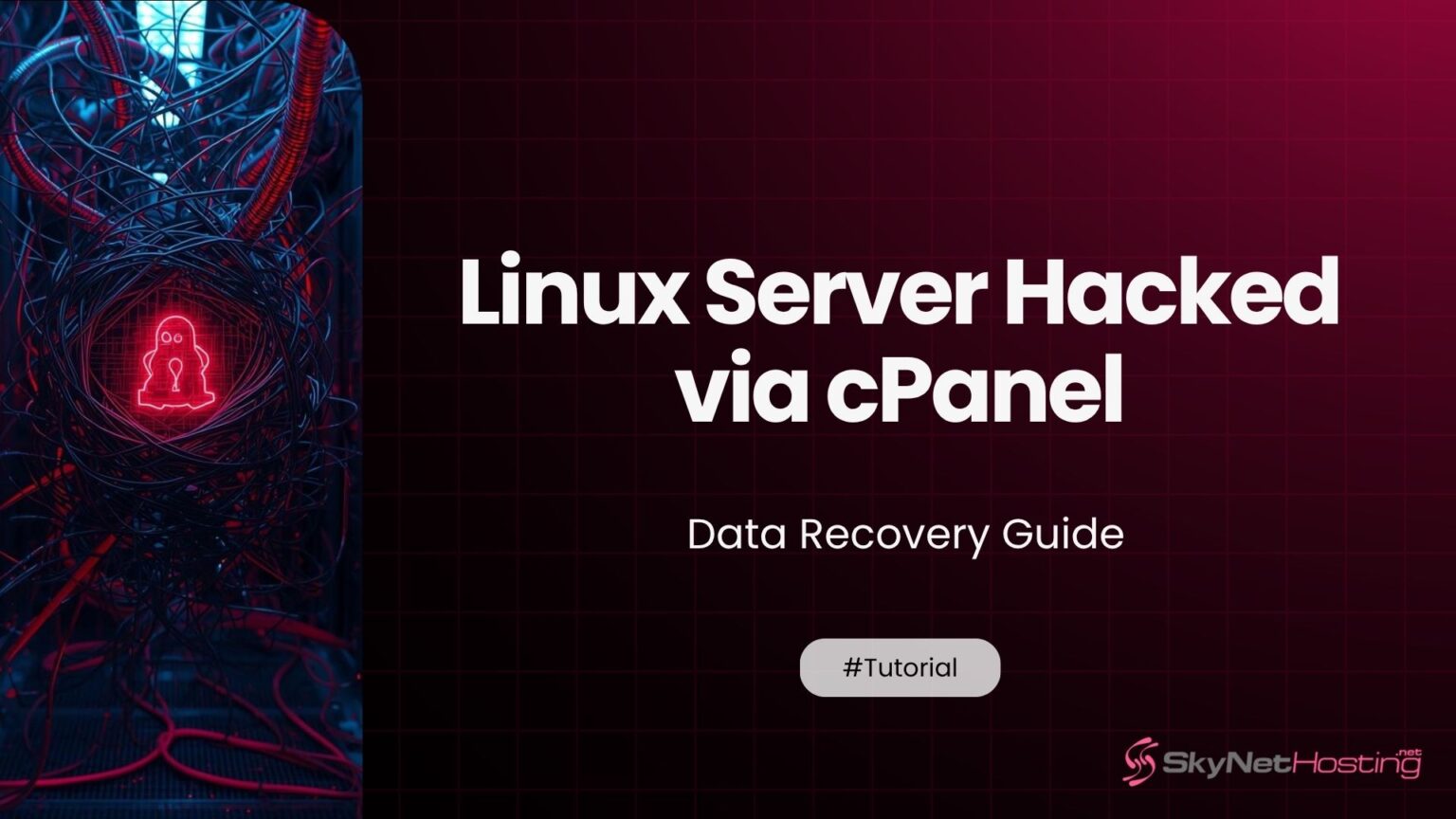 Linux Server Hacked via cPanel: Data Recovery Guide
