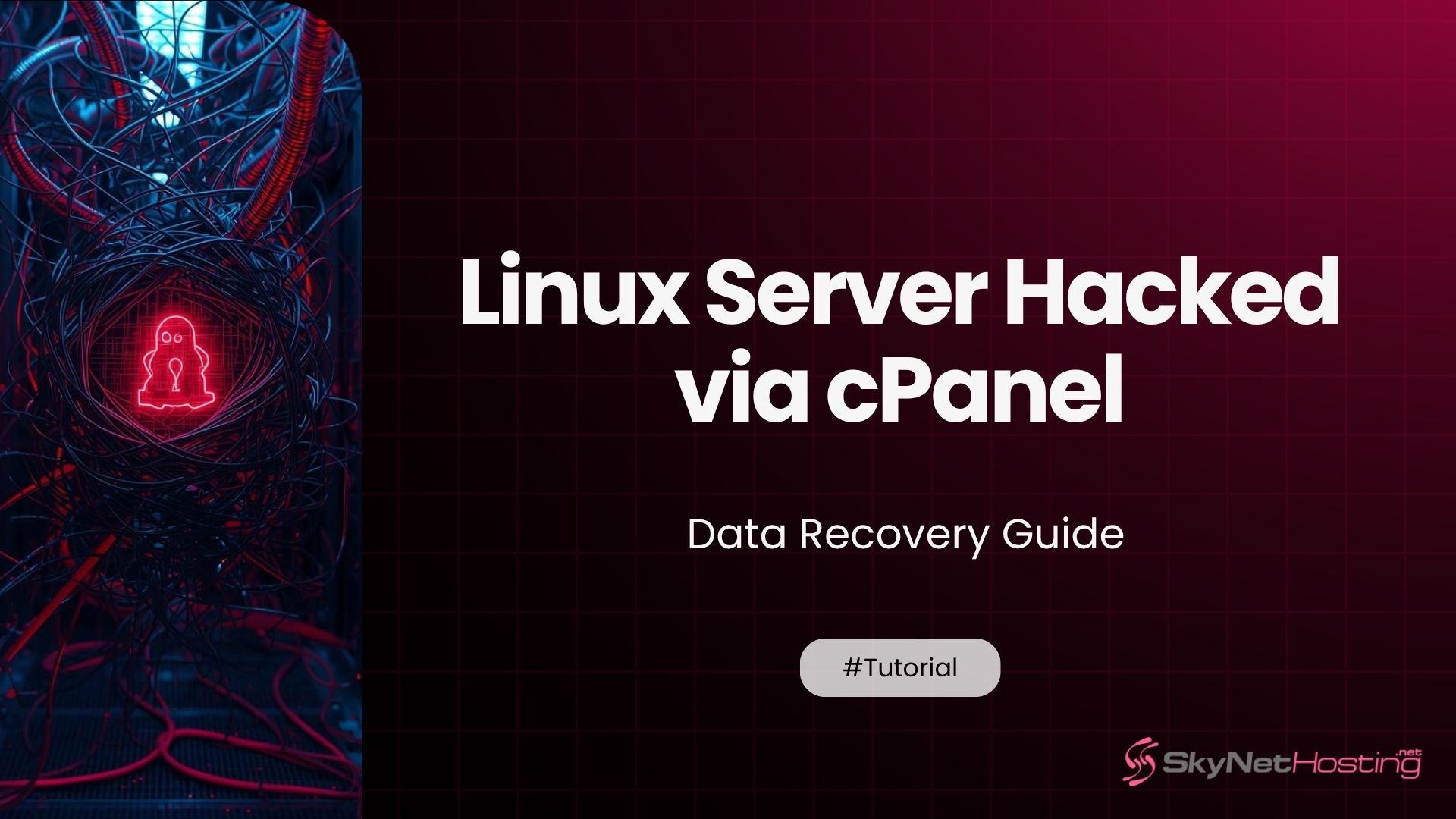 Linux Server Hacked via cPanel: Data Recovery Guide