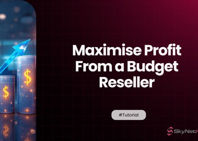 How to Maximise Profit From a Budget Reseller Plan Without Upgrading