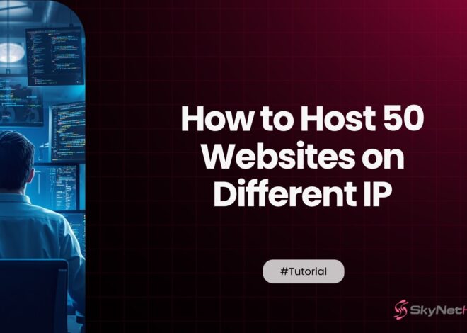 How to Host 50 Websites on Different IP Addresses Using SEO Hosting Plans