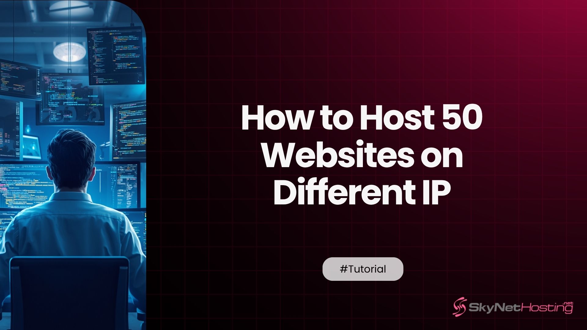 How to Host 50 Websites on Different IP Addresses Using SEO Hosting Plans