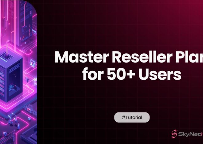 Scaling Up: Picking a Master Reseller Plan for 50+ Users
