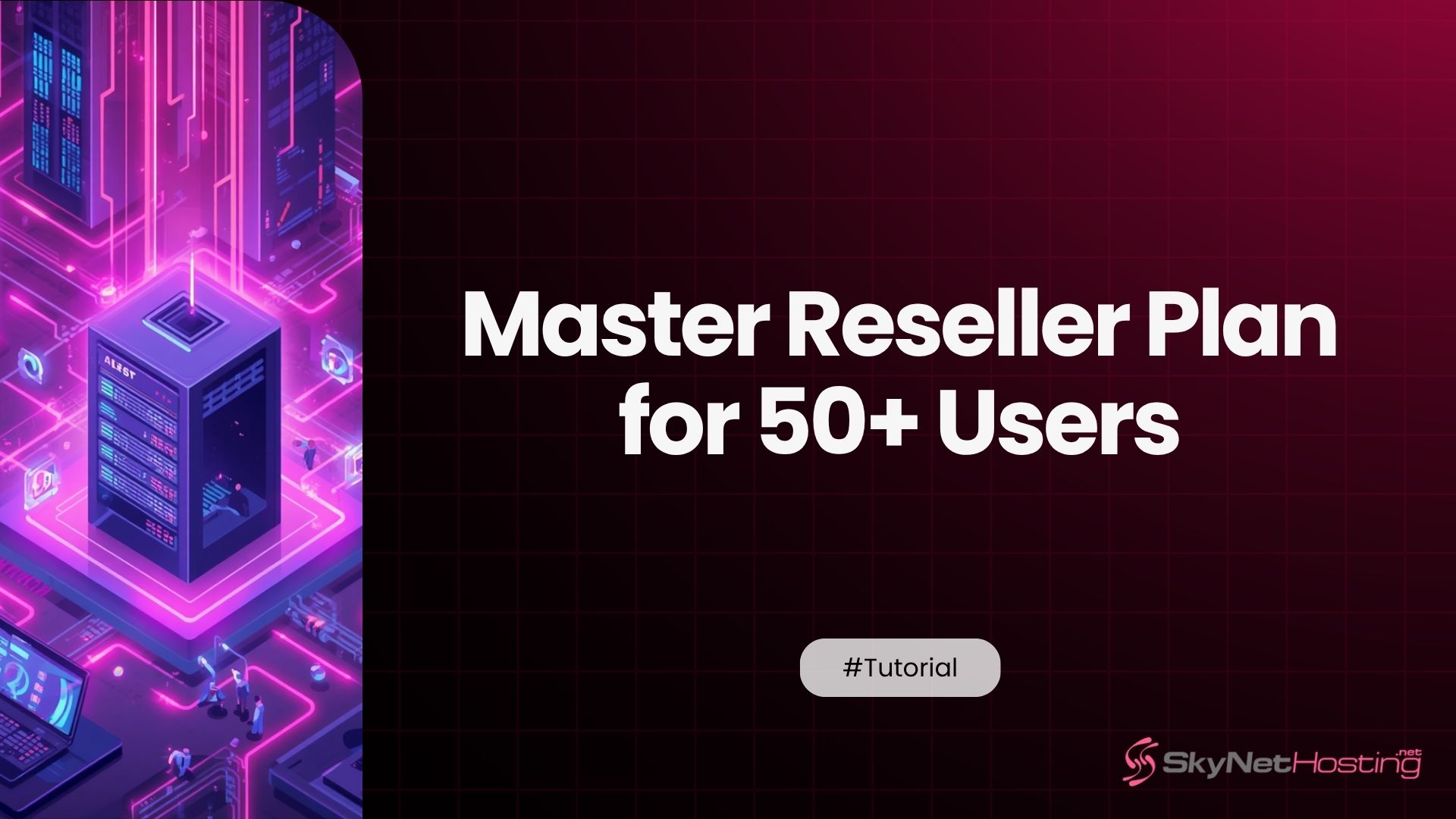 Scaling Up: Picking a Master Reseller Plan for 50+ Users