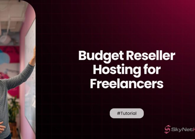 Budget Reseller Hosting for Freelancers: Host 5 Client Sites Affordably