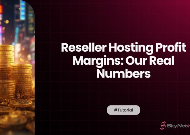 Reseller Hosting Profit Margins: Our Real Numbers