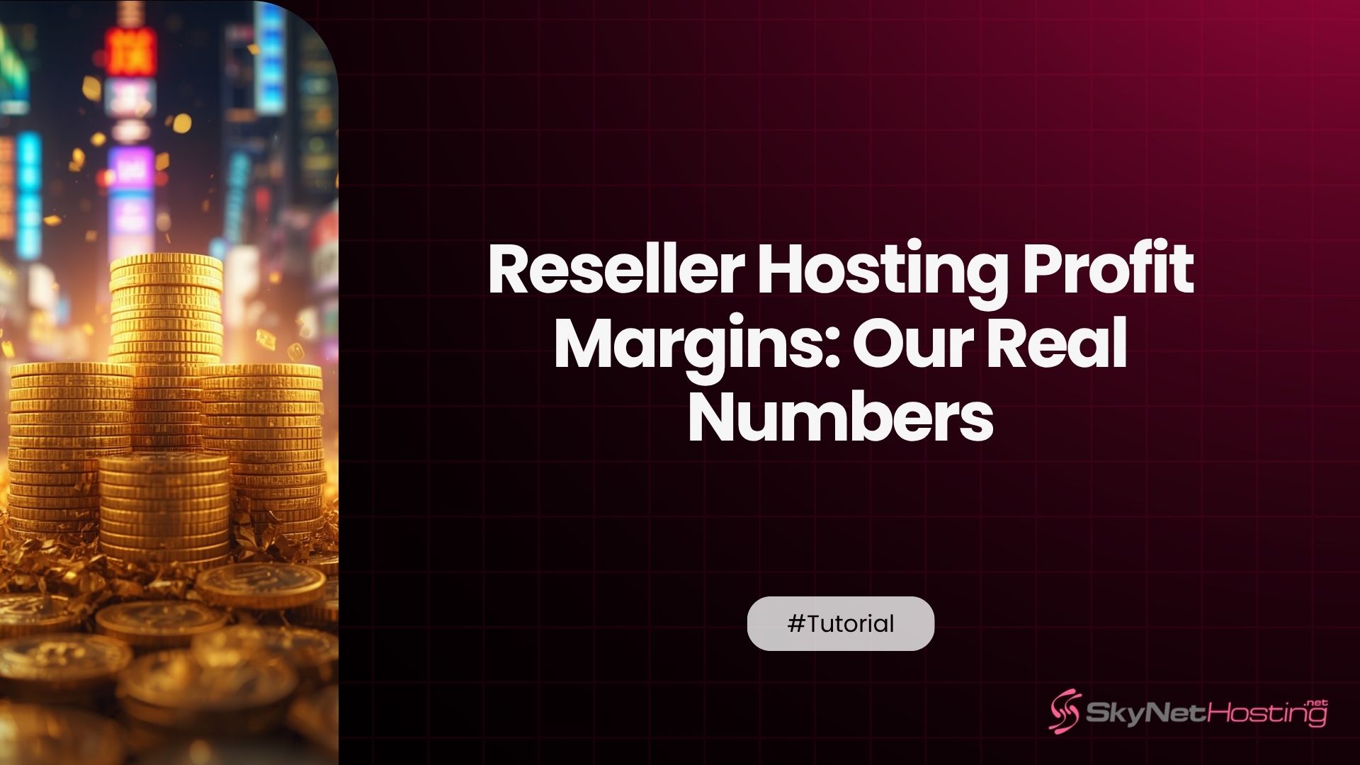 Reseller Hosting Profit Margins: Our Real Numbers
