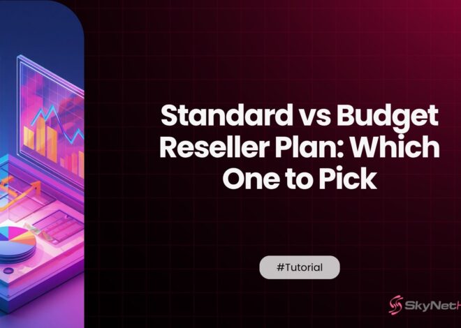 Standard vs Budget Reseller Plan: Which One to Pick