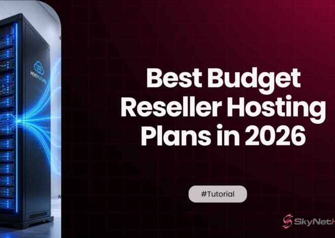 Best Budget Reseller Hosting Plans in 2026: SkyNetHosting vs the Competitors