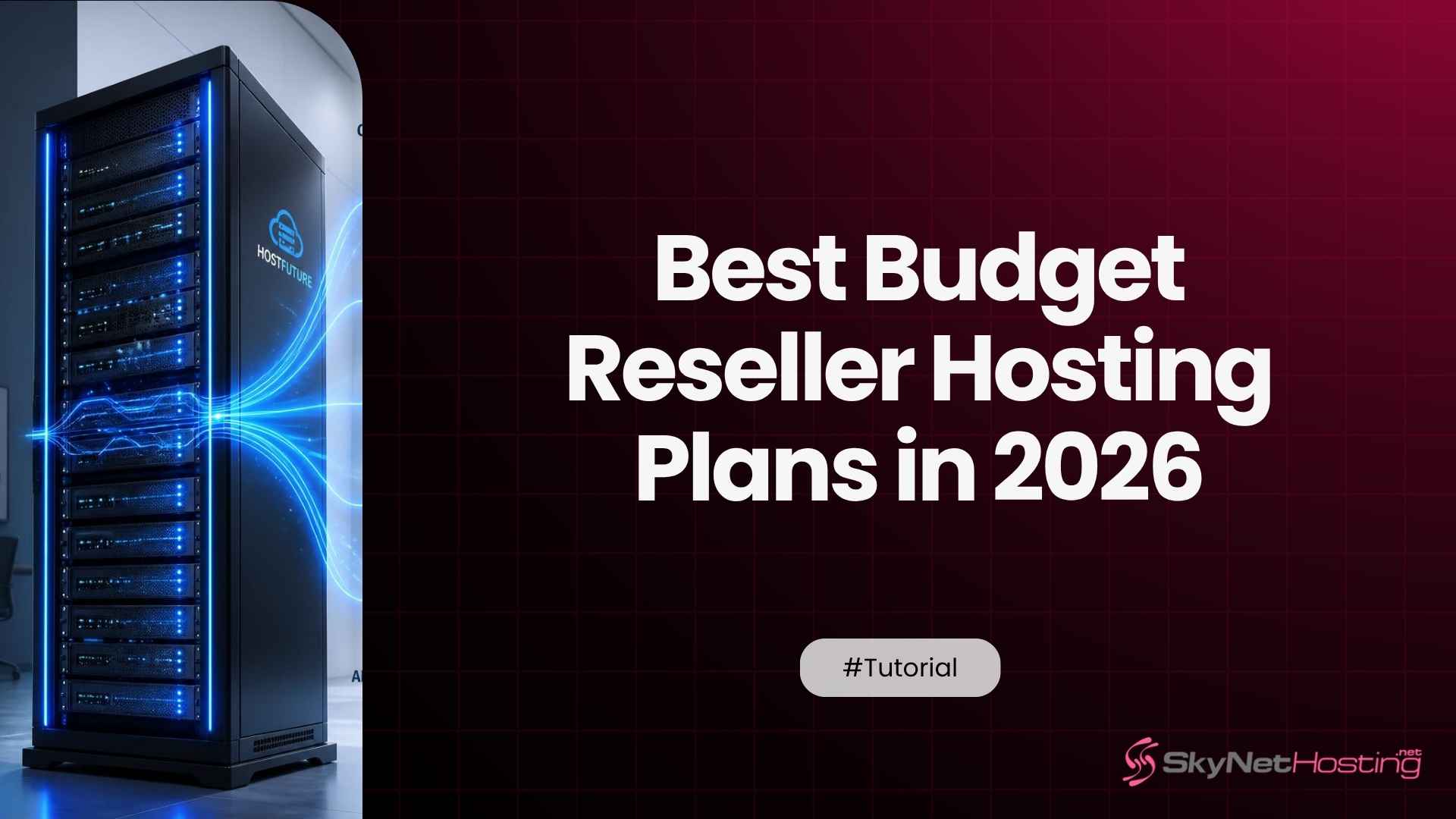 Best Budget Reseller Hosting Plans in 2026: SkyNetHosting vs the Competitors