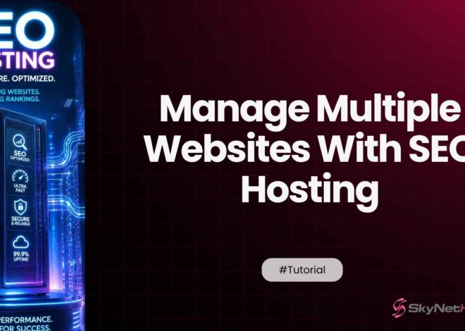 How to Use SEO Hosting for Managing Multiple Websites Safely and Efficiently