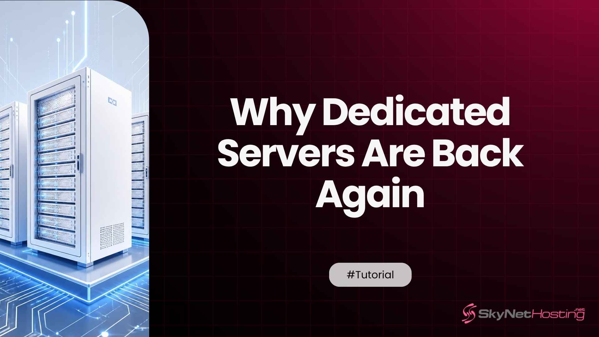 Why Dedicated Servers Are Making a Comeback in the Age of Cloud Computing