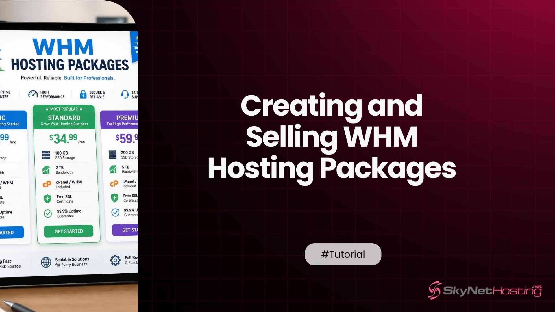How to Create and Sell Hosting Packages in WHM: Step-by-Step for New Resellers