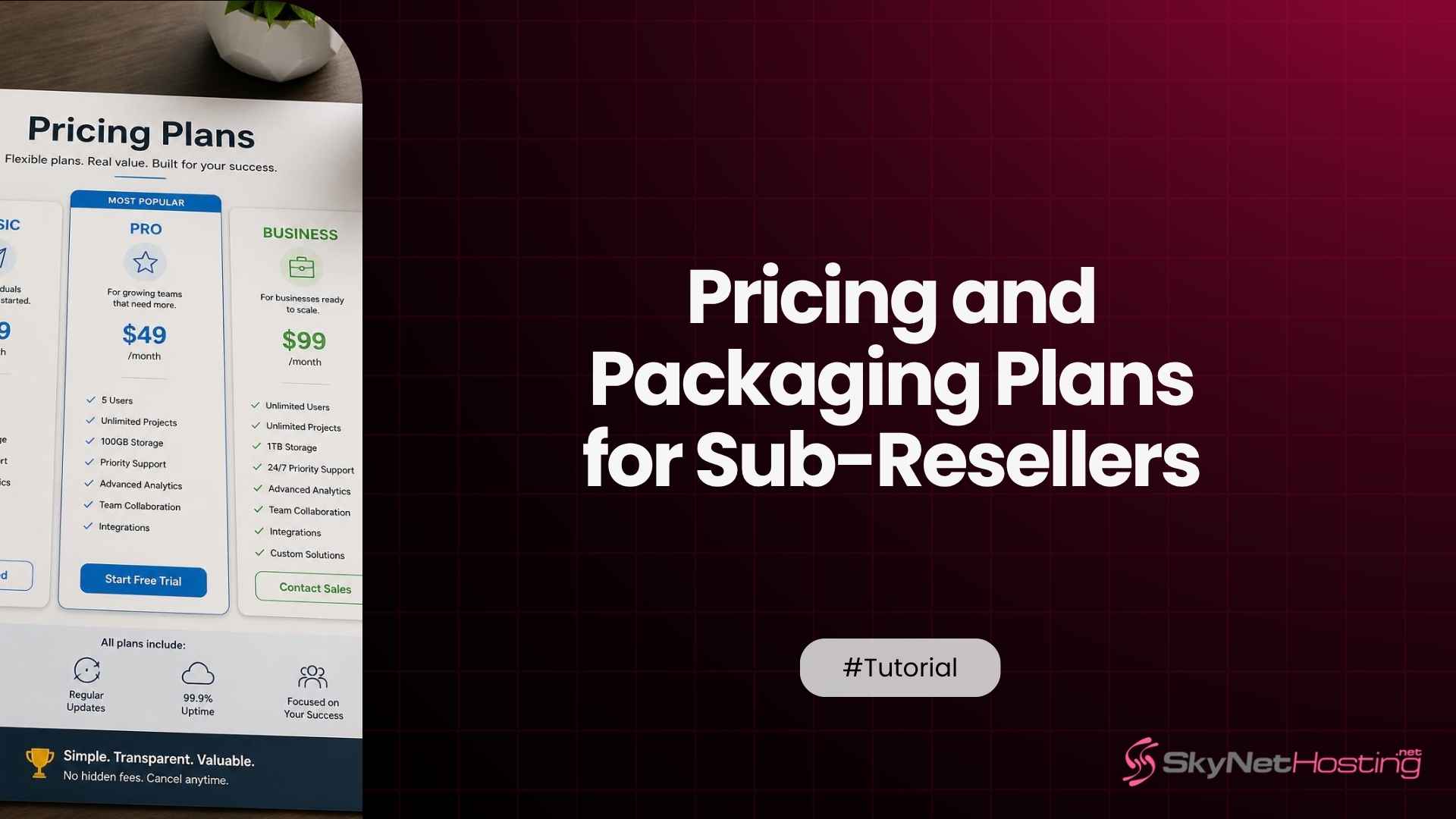 How to Price and Package Reseller Plans for Sub-Resellers Under Your Master Account