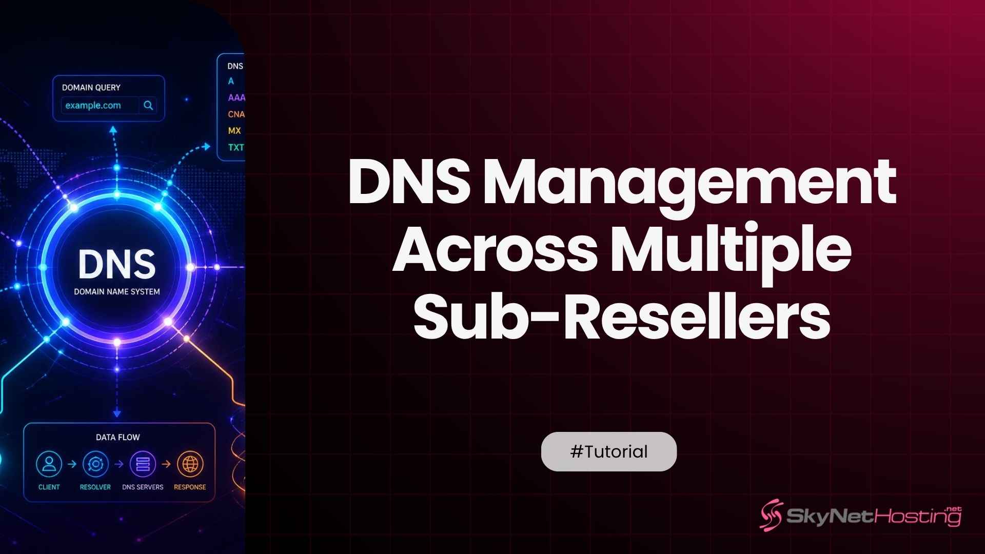 How Master Reseller Hosting Handles DNS Zone Management Across Multiple Sub-Resellers